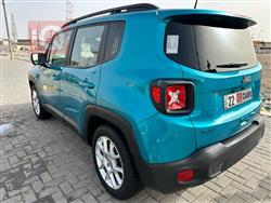 جيب رينيجيد